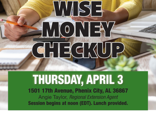 April 2025 Lunch and Learn: Wise Money Checkup