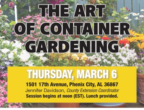 March 2025 Lunch and Learn: The Art of Container Gardening