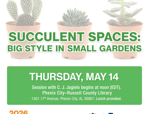 May 2026 Lunch and Learn: Succulent Spaces – Big Style in Small Gardens